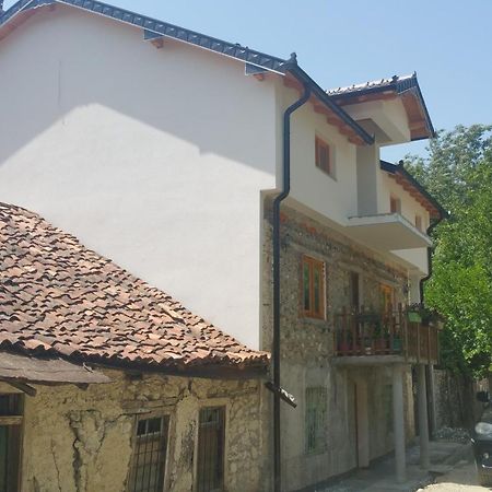 Aste Guesthouse Tropoje Bagian luar foto